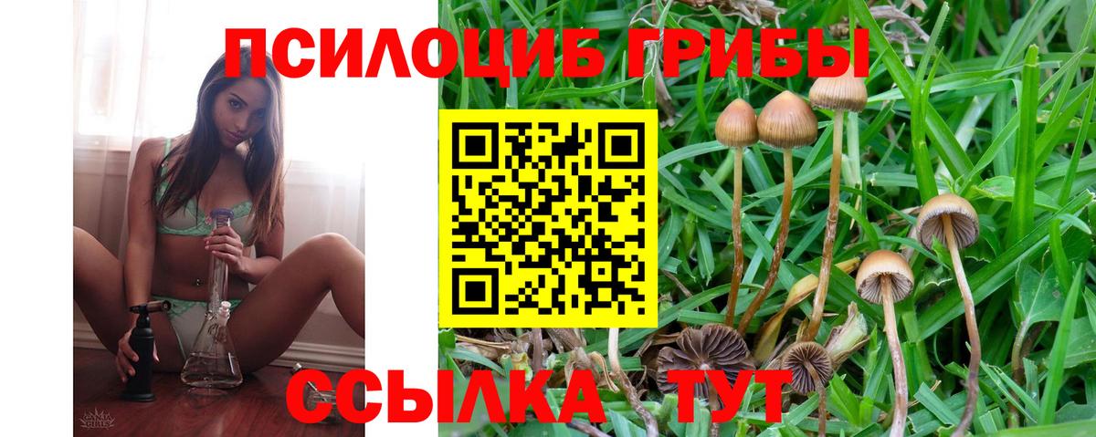 Галлюциногенные грибы Psilocybine cubensis  наркотики  Новошахтинск  Вход с VPN  Галлюциногенные грибы GOLDEN TEACHER 